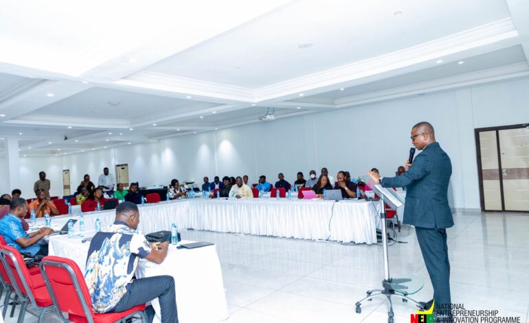 NEIP CEO and Stakeholders